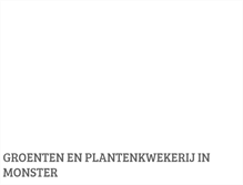 Tablet Screenshot of lvplant.nl
